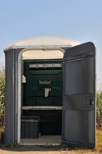Best Luxury portable toilet rental  in Ladysmith, WI