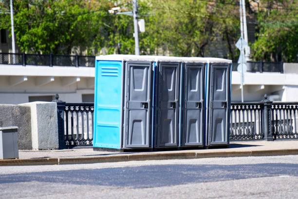 Best Local porta potty services  in Ladysmith, WI